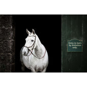 Horseware Micklem Bitless Bridle Marron Horseware Micklem Bitless Bridle Marron