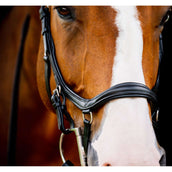Horseware Micklem Diamond Competition Bridle Nouveau Noir Horseware Micklem Diamond Competition Bridle Nouveau Noir