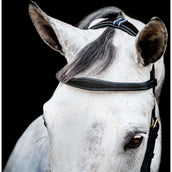 Horseware Micklem Multi Bridle Nouveau Noir Horseware Micklem Multi Bridle Nouveau Noir