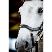 Horseware Micklem Multi Bridle Nouveau Noir Horseware Micklem Multi Bridle Nouveau Noir