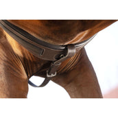 Horseware Micklem Collier de Chasse avec Martingale Marron Horseware Micklem Collier de Chasse avec Martingale Marron