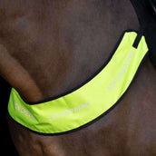Imperial Riding Collier de Chasse IRHReflective Jaune Imperial Riding Collier de Chasse IRHReflective Jaune