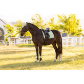 LeMieux Tapis de Selle Suede Square Dressage Macaron LeMieux Tapis de Selle Suede Square Dressage Macaron