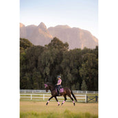 LeMieux Tapis de Selle Loire Classic Square Dressage Mallow LeMieux Tapis de Selle Loire Classic Square Dressage Mallow