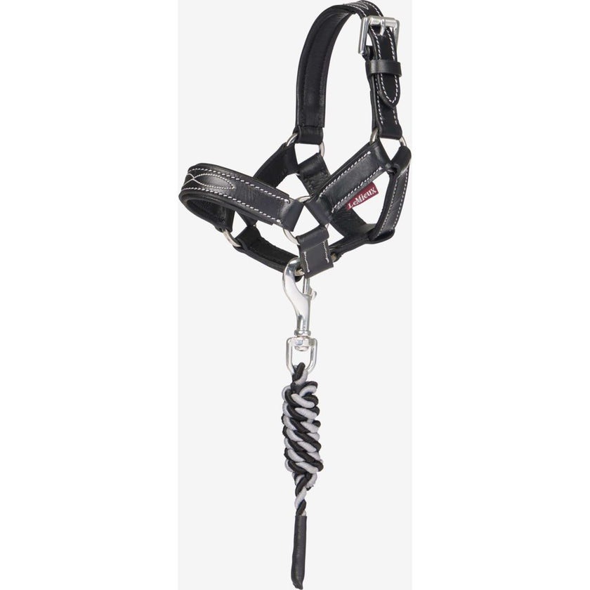 LeMieux Toy Pony Licol Noir LeMieux Toy Pony Licol Noir