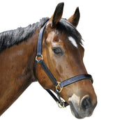 Covalliero Licol Robuste Cuir Marron Covalliero Licol Robuste Cuir Marron