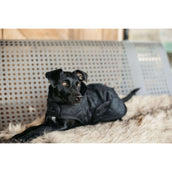 Kentucky Veste pour Chien Original Royal Noir Kentucky Veste pour Chien Original Royal Noir