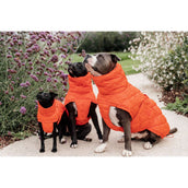 Kentucky Couverture pour Chien Winter Pina 160g Orange Kentucky Couverture pour Chien Winter Pina 160g Orange