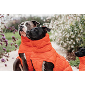Kentucky Couverture pour Chien Winter Pina 160g Orange Kentucky Couverture pour Chien Winter Pina 160g Orange