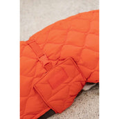 Kentucky Couverture pour Chien Winter Pina 160g Orange Kentucky Couverture pour Chien Winter Pina 160g Orange