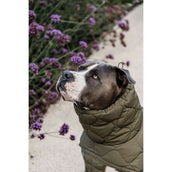 Kentucky Couverture pour Chien Winter Pina 160g Pine Green Kentucky Couverture pour Chien Winter Pina 160g Pine Green