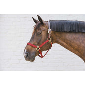 Kentucky Licol Nylon Breakaway Bordeaux Kentucky Licol Nylon Breakaway Bordeaux