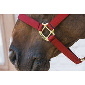 Kentucky Licol Nylon Breakaway Bordeaux Kentucky Licol Nylon Breakaway Bordeaux