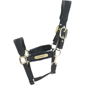 Kentucky Licol velours Noir Kentucky Licol velours Noir
