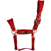 Kentucky Licol Velvet Rouge Kentucky Licol Velvet Rouge