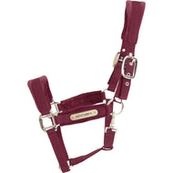 Kentucky Licol velours Bordeaux Kentucky Licol velours Bordeaux