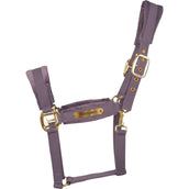 Kentucky Licol Velvet Violet Kentucky Licol Velvet Violet