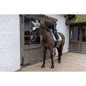 Kentucky Bonnet Anti-Mouches Wellington Velvet Horse Printing Beige Kentucky Bonnet Anti-Mouches Wellington Velvet Horse Printing Beige
