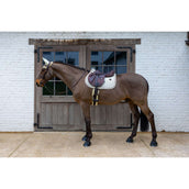 Kentucky Tapis de Selle Velvet Horse Printing Beige Kentucky Tapis de Selle Velvet Horse Printing Beige