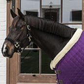 Kentucky Couverture de Concours 160g Violet Kentucky Couverture de Concours 160g Violet