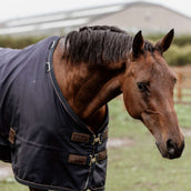 Kentucky Turnout Rug All Weather 0g Marin Kentucky Turnout Rug All Weather 0g Marin