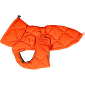 Kentucky Couverture pour Chien Winter Pina 160g Orange Kentucky Couverture pour Chien Winter Pina 160g Orange