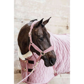 Kentucky Licol velours Rose Vieux Kentucky Licol velours Rose Vieux