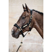 Kentucky Licol velours Noir Kentucky Licol velours Noir