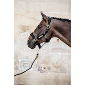 Kentucky Licol velours Noir Kentucky Licol velours Noir