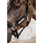 Kentucky Licol velours Noir Kentucky Licol velours Noir