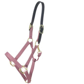 Kentucky Licol Nylon Breakaway Rose Vieux Kentucky Licol Nylon Breakaway Rose Vieux