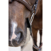 Kentucky Anneaux de Mors Bit Ring Noir Kentucky Anneaux de Mors Bit Ring Noir