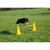 Kerbl Agilité Set Pylône 3 obstacles Rouge/Jaune Kerbl Agilité Set Pylône 3 obstacles Rouge/Jaune