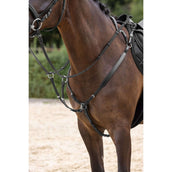 Covalliero Collier de Chasse avec Martingale Noir Covalliero Collier de Chasse avec Martingale Noir