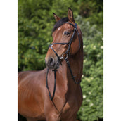 Riding World Bride avec Muserolle Mexicaine Noir Riding World Bride avec Muserolle Mexicaine Noir