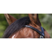 Riding World Bride avec Muserolle Mexicaine Noir Riding World Bride avec Muserolle Mexicaine Noir
