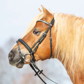 Kieffer Bride Ultrasoft Haflinger Noir/Blanches Pierres Kieffer Bride Ultrasoft Haflinger Noir/Blanches Pierres