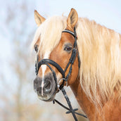 Kieffer Bride Ultrasoft Haflinger Noir/Blanches Pierres Kieffer Bride Ultrasoft Haflinger Noir/Blanches Pierres