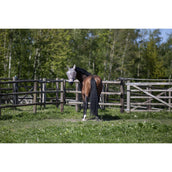 Kingsland Masque Anti-Mouches KLLando avec Oreilles Rainy Day Kingsland Masque Anti-Mouches KLLando avec Oreilles Rainy Day