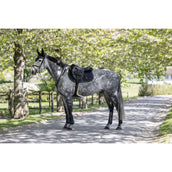 Kingsland Tapis de Selle KLLucca Cooling de Saut Marin Kingsland Tapis de Selle KLLucca Cooling de Saut Marin