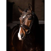 LeMieux Bride Kudos Patent Dressage Marron LeMieux Bride Kudos Patent Dressage Marron