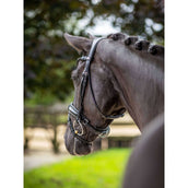 LeMieux Bride Kudos Patent Dressage Noir LeMieux Bride Kudos Patent Dressage Noir