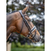 LeMieux Bride Kudos Patent Dressage Marron/Blanc LeMieux Bride Kudos Patent Dressage Marron/Blanc