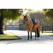 LeMieux Tapis de Selle Brilliance Dressage Espresso LeMieux Tapis de Selle Brilliance Dressage Espresso