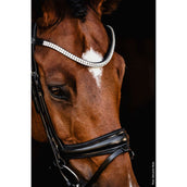 Schockemöhle Bridon SP Isabell Werth Johnny Noir/Argent Schockemöhle Bridon SP Isabell Werth Johnny Noir/Argent