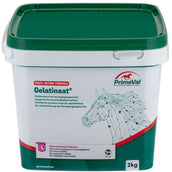 Primeval Gelatinate Cheval Primeval Gelatinate Cheval