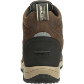 Suedwind Jodhpur Field FZ GripFTX Chocolat Suedwind Jodhpur Field FZ GripFTX Chocolat