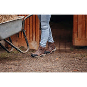 Suedwind Jodhpur Field FZ GripFTX Chocolat Suedwind Jodhpur Field FZ GripFTX Chocolat