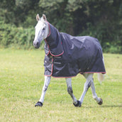 Tempest Original by Shires Couverture Imperméable Turnout Typhoon Combo 200g Noir Tempest Original by Shires Couverture Imperméable Turnout Typhoon Combo 200g Noir
