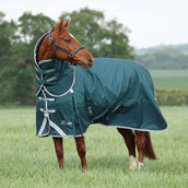 Highlander Original by Shires Couverture d'Hiver Turnout 300g avec Couvre-cou Vert Highlander Original by Shires Couverture d'Hiver Turnout 300g avec Couvre-cou Vert